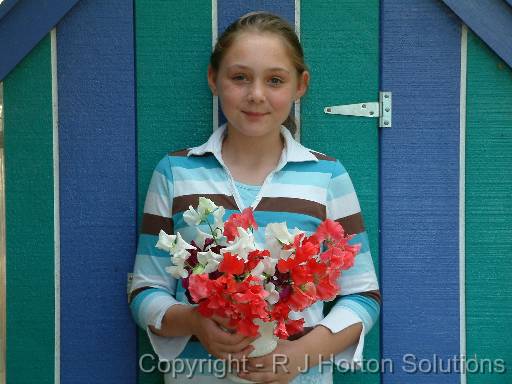 Sweet peas Tori_2 